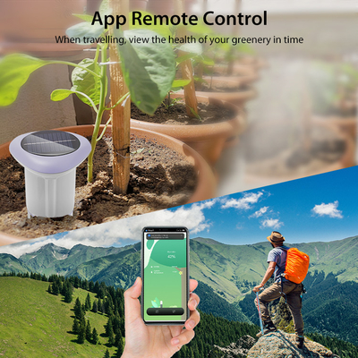 Sensor de solo sem fio ZigBee 3.0    Monitor de agricultura inteligente movido a energia solar para irrigação precisa