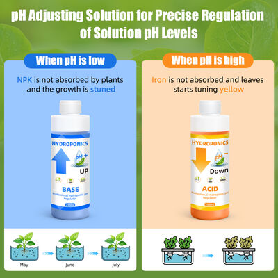 Kit de Ajuste de pH Hidropônico com Capacidade de 250mL para Absorção Ótima de Nutrientes pelas Plantas e Fórmula Estável