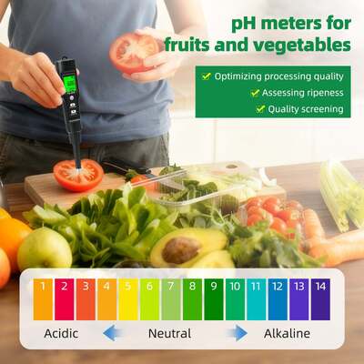 Teste de pH do solo Nitrogénio Fósforo Potássio CE Fertilidade Temperatura Umidade do solo