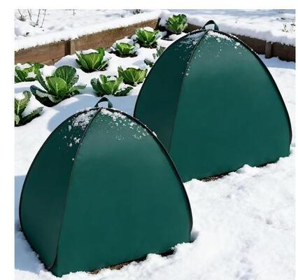 Tenda de proteção de plantas de inverno dobrável Antifriaço resistente ao vento e neve para jardim Vegetais Flores de frutas